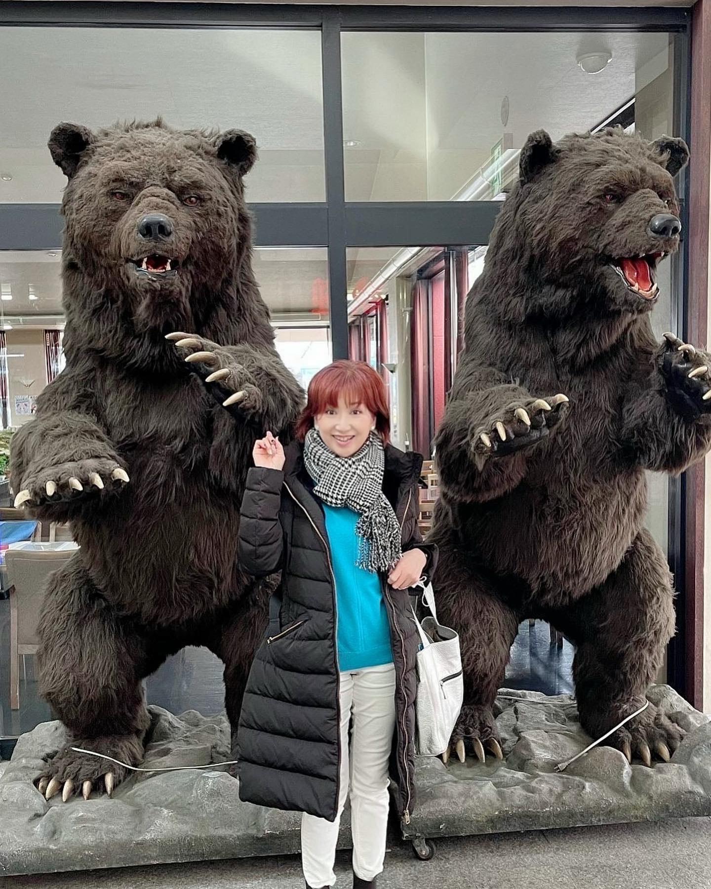 北海道の熊.JPG